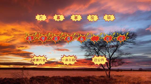 探索正版精準(zhǔn)跑狗圖，77777與88888的神秘魅力
