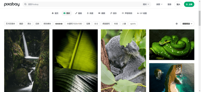 探索無盡的視覺寶藏，800圖庫大全免費資料的世界