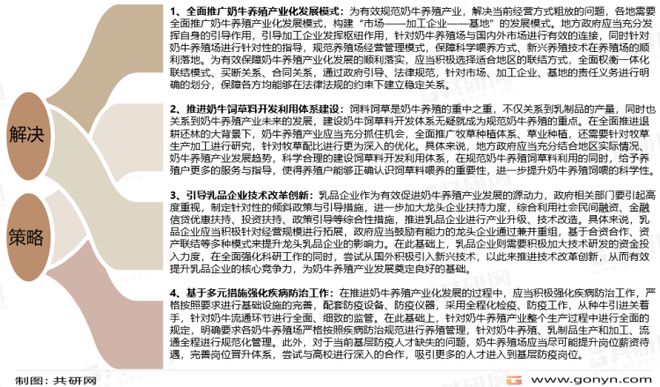 王中王資料大全，深度解析與全面探究