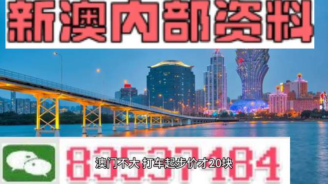 新澳門免費(fèi)資料大全在線查看，探索與體驗(yàn)