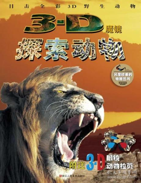 四不像正版與正版四不像一，探究正版與盜版之間的微妙差異