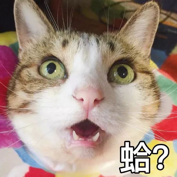 王霖若辰 第7頁