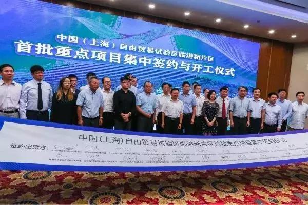 新奧天天精準資料大全，深度解析與實際應用