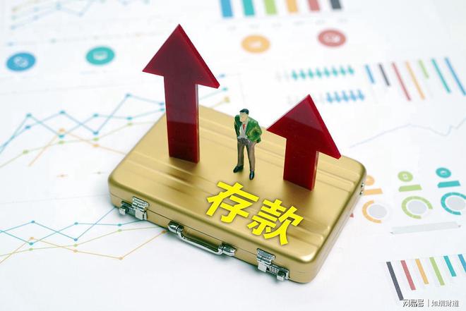 新澳門和香港2024正版資料免費公開，探索與啟示