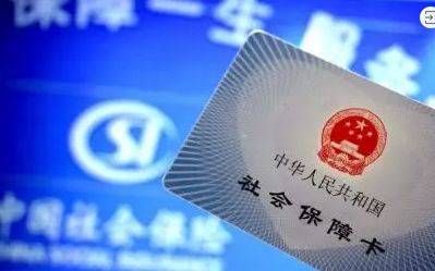 澳門最精準正精準龍門2024，揭示犯罪行為的危害與警示社會