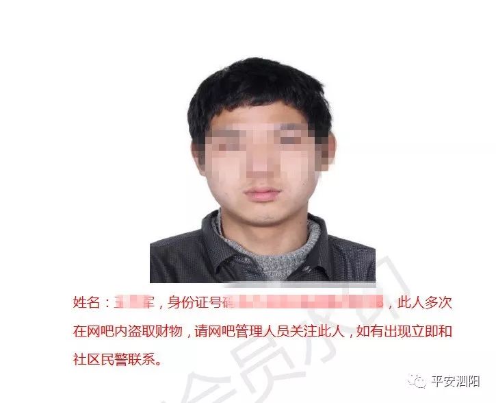 澳門天天彩免費資料大全免費查詢，披著羊皮下的犯罪陰影與龜殼中的蛇影