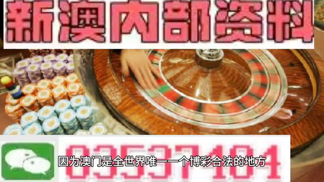 澳門高級內(nèi)部VIP資料，揭秘違法犯罪風(fēng)險背后的真相