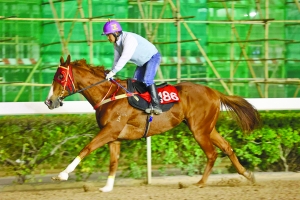 澳門今晚開特馬四不像圖——警惕網(wǎng)絡(luò)賭博的危害
