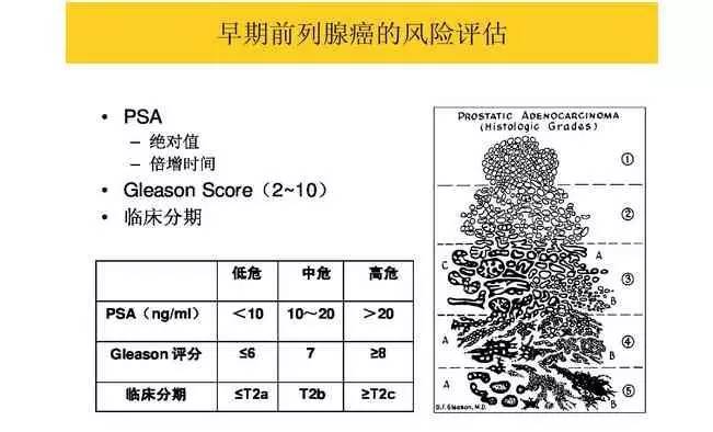 北京最新病理研究與應(yīng)用進展