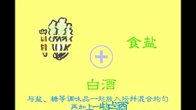 新奧正版免費資料大全，優(yōu)選釋義解釋落實的重要性