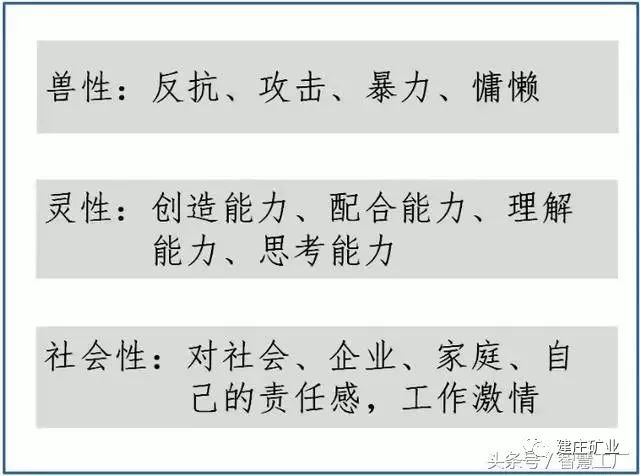 澳門今晚一肖必中特，力學釋義解釋落實與違法犯罪問題探討