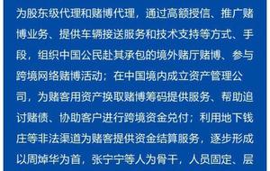 新澳門內部一碼精準公開網(wǎng)站，特色釋義、解釋與落實的探討——警惕背后的潛在風險與違法犯罪問題