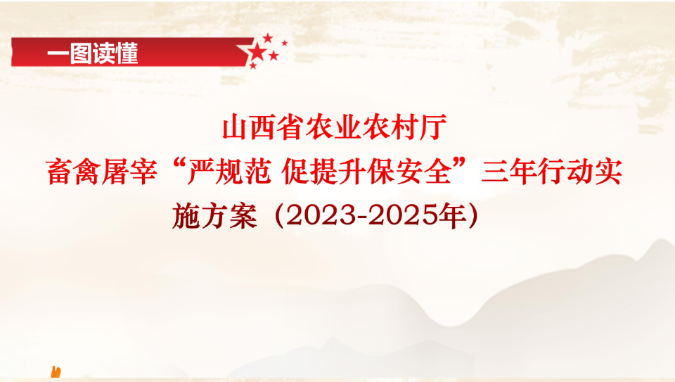 解析與落實(shí)策略，關(guān)于一肖一碼一中一特的謀略釋義與行動(dòng)指南（2024年）