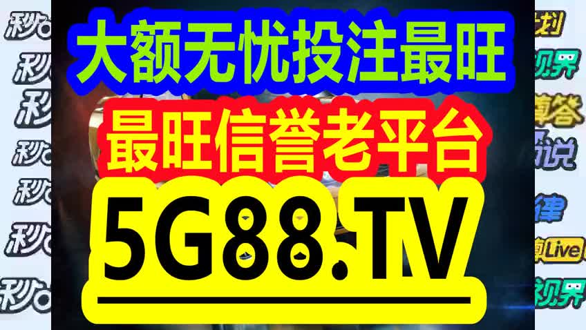 管家婆一碼一肖正確，籌劃釋義解釋落實(shí)的重要性