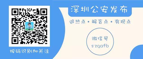 一肖一碼一一肖一子在深圳，實(shí)施釋義解釋落實(shí)的深入探究