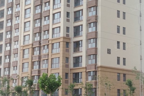 滄州萬(wàn)泰麗景最新動(dòng)態(tài)，城市新篇章的華麗開篇
