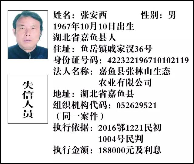 溧陽(yáng)市最新老賴名單，揭示失信行為的嚴(yán)肅面孔