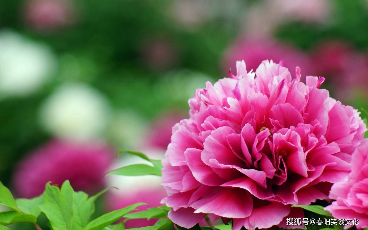 牡丹區(qū)委最新領(lǐng)導(dǎo)班子的形成與未來展望
