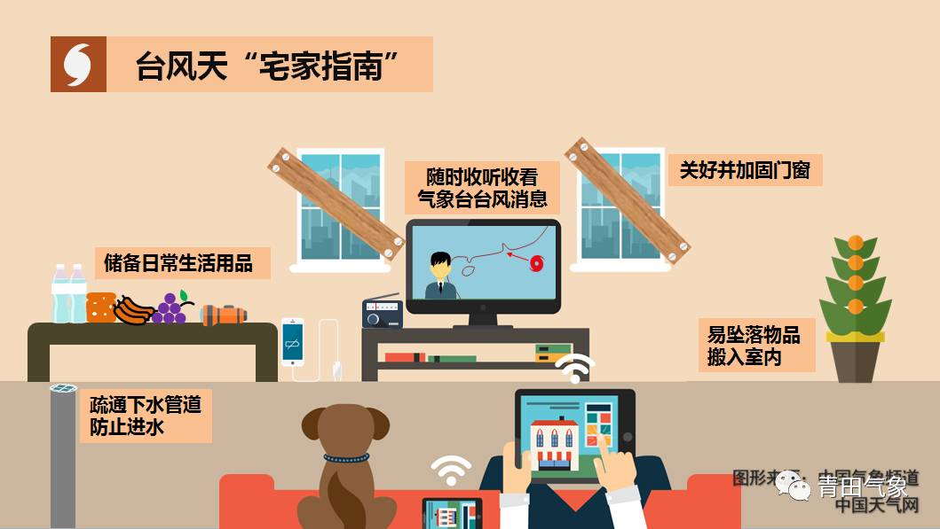 臺(tái)風(fēng)納沙最新路徑圖，動(dòng)態(tài)分析與影響評(píng)估