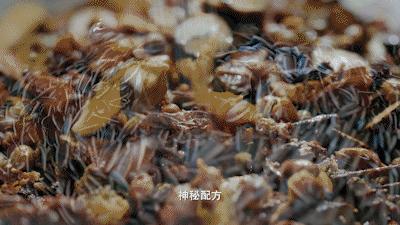 恰似你的溫柔最新章節(jié)，情感深處的微妙變化