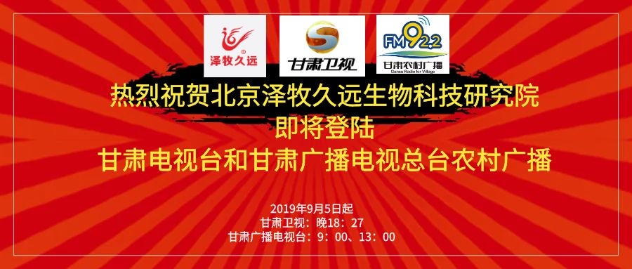 泰和澤盛最新進(jìn)展，邁向成功的步伐與未來展望