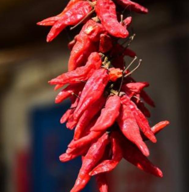 辣椒王李永志的最新消息，創(chuàng)業(yè)之路上的輝煌成就與未來展望
