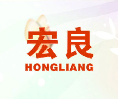 甘肅宏良股份最新消息全面解析
