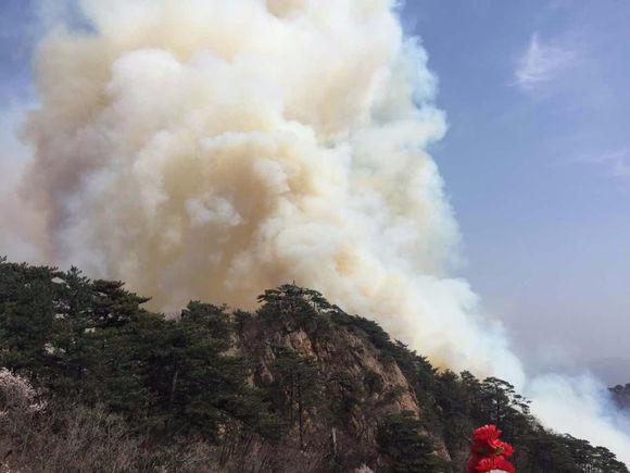 鞍山千山大火最新消息，全面撲救與災(zāi)后重建工作進(jìn)展