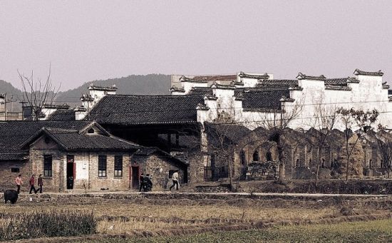 東浦合心村的最新消息，繁榮與發(fā)展中的鄉(xiāng)村新面貌