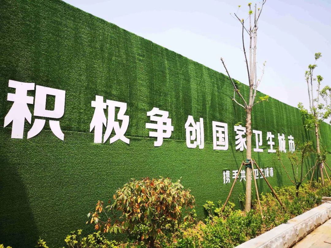 聊城煙店環(huán)保最新消息，邁向綠色可持續(xù)發(fā)展的堅定步伐
