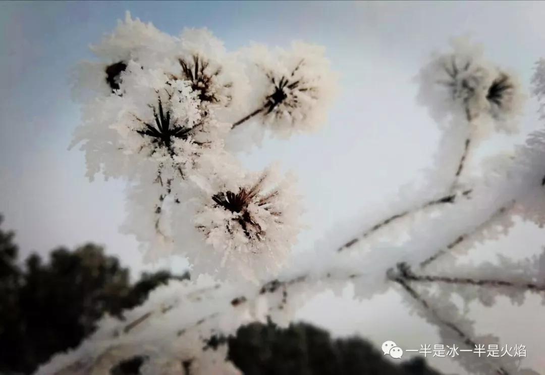 胡君若君 第4頁