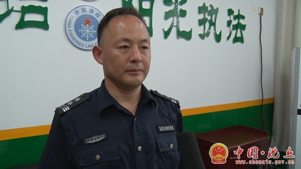 河南沈丘縣最新房價動態(tài)分析