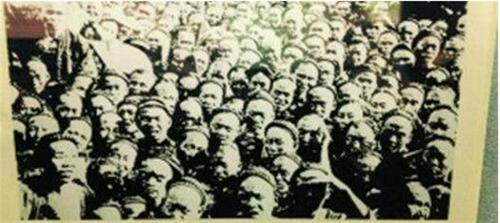 新型豬流感情最新消息，探索與研究