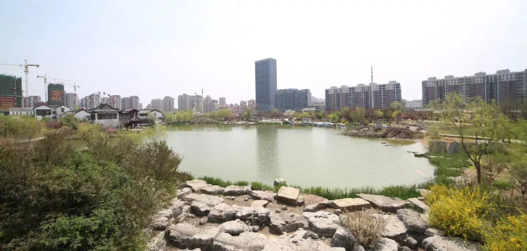 海州批發(fā)市場最新動態(tài)，繁榮景象與市場活力展現(xiàn)
