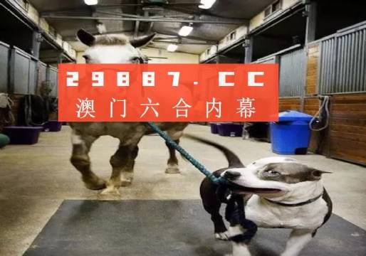 澳門一肖一碼一一特一中廠與最新答案解釋落實，揭示背后的風(fēng)險與挑戰(zhàn)