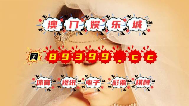 澳門王中王最新章節(jié)與答案解析，探索真相的旅程