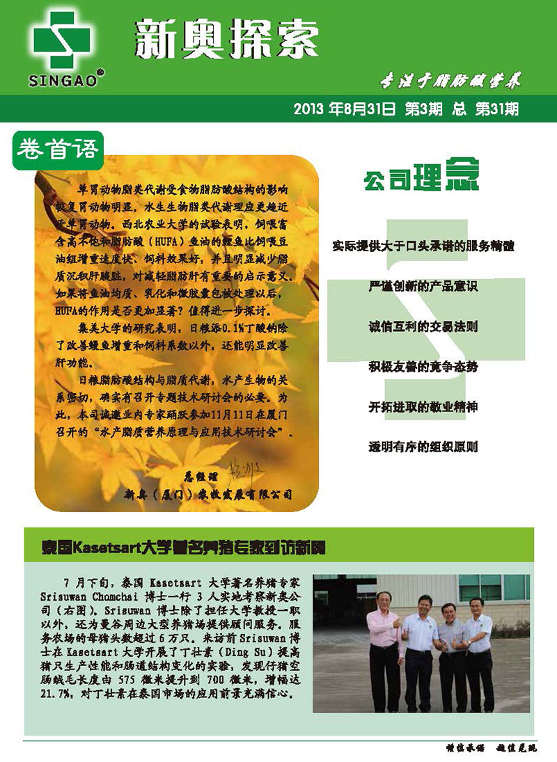 揭秘新奧最佳免費(fèi)資料，最新答案解釋與落實(shí)行動(dòng)指南（附詳細(xì)指南）