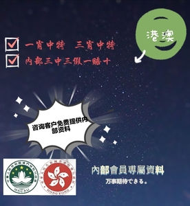 一肖一碼，揭秘精準(zhǔn)資料的神秘面紗與最新答案解釋落實(shí)