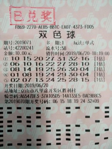 揭秘澳門生肖彩票背后的秘密，如何理解今晚生肖開獎的最新答案與落實真相