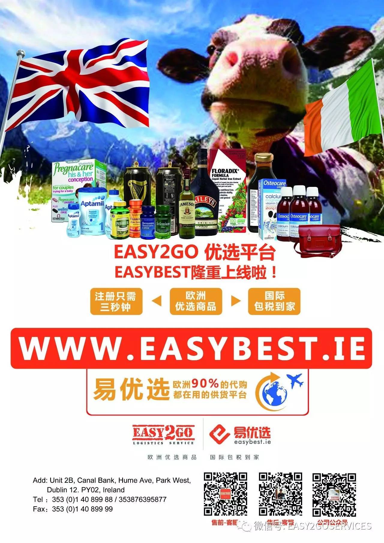 王中王資料大全及最新使用教程，全面解析與實戰(zhàn)指南