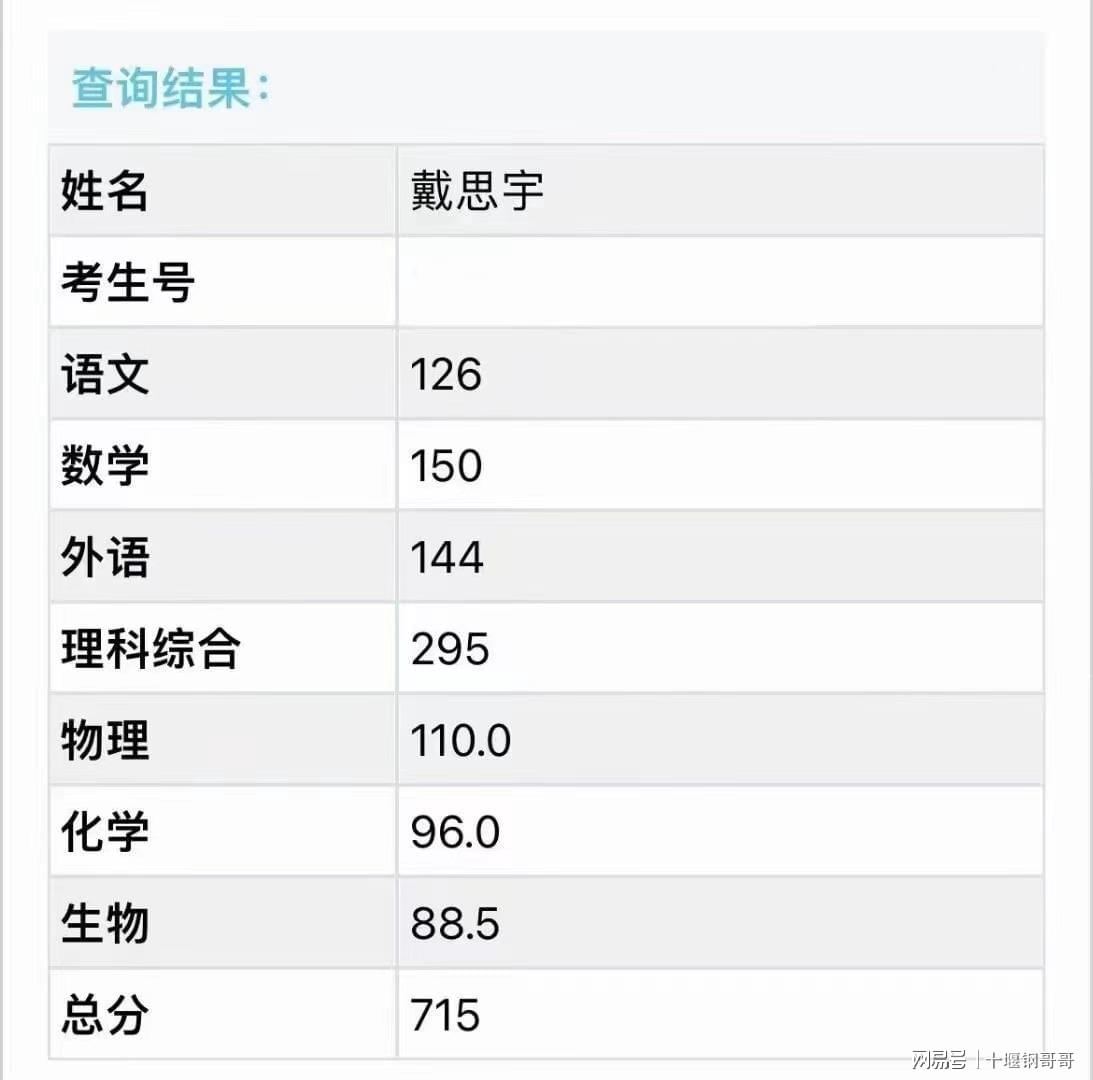 揭秘香港未來，探索2024年香港全年免費(fèi)資料與最新答案解釋的落實(shí)之路