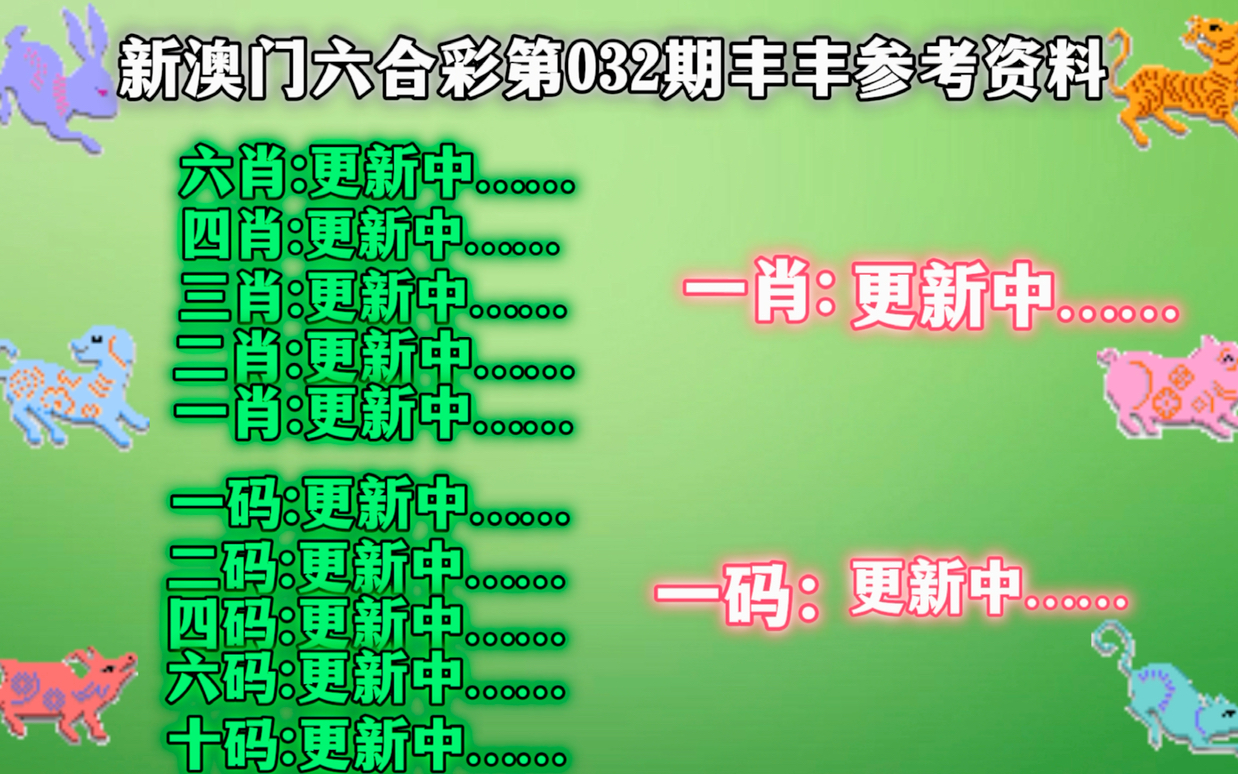 一肖一碼，揭秘精準(zhǔn)資料的神秘面紗與最新答案解釋落實(shí)