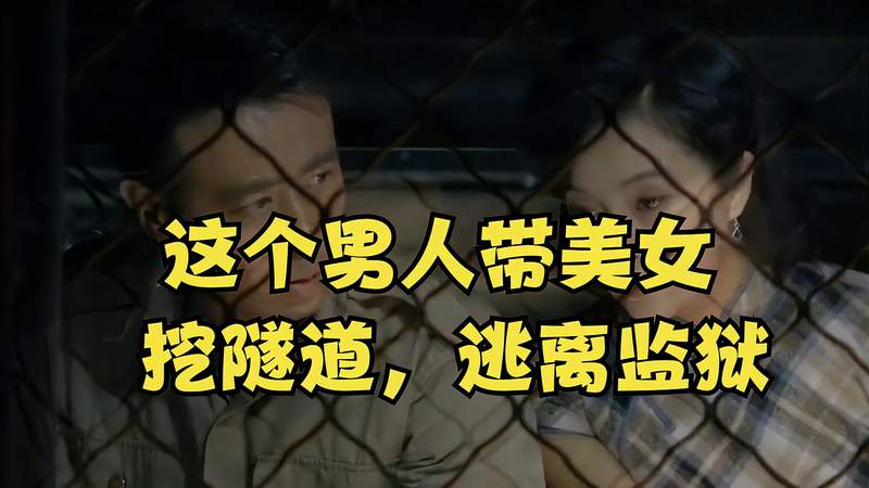 女子監(jiān)獄林洛最新章節(jié)，重塑人生的深度探索之旅