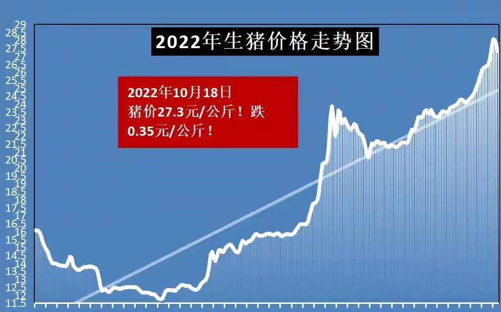 沂水今日豬價(jià)最新消息，市場走勢與影響因素分析