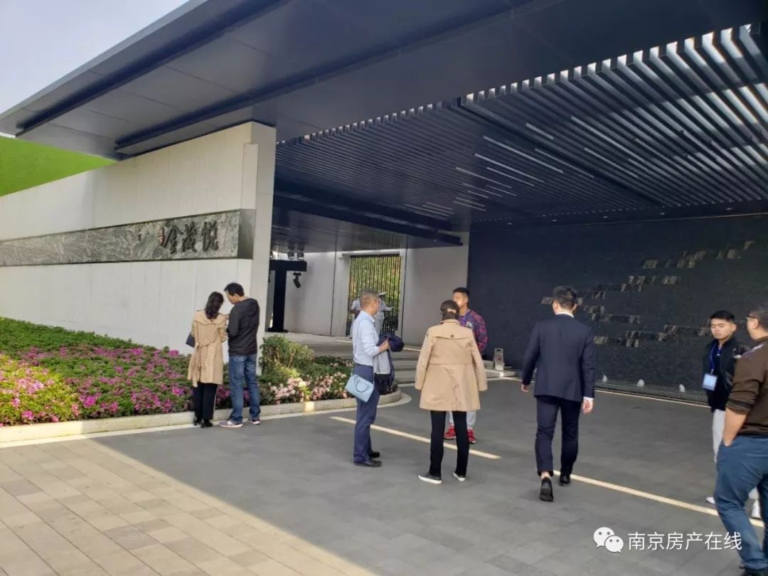 南京宗易匯最新消息深度解析
