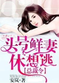 總裁的頭號鮮妻最新章節(jié)探秘