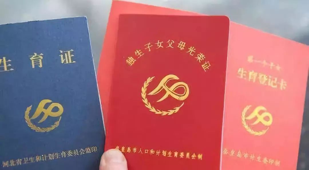 關(guān)于2017年教練證最新政策的深度解讀