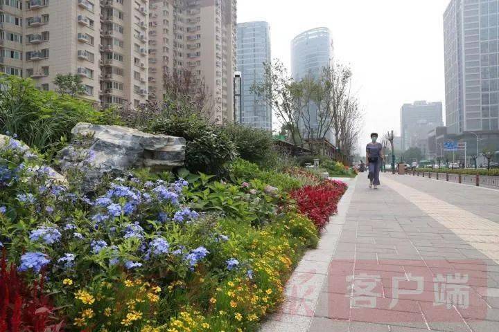 鄭州黎陽花園最新消息，一座生態(tài)與人文共融的城市綠洲