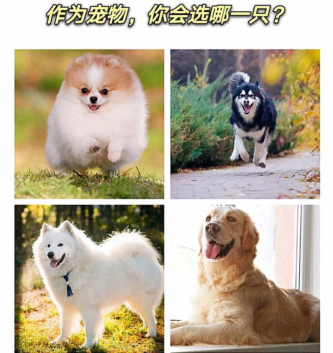 果卿居士最新聯(lián)系方式，探索與分享