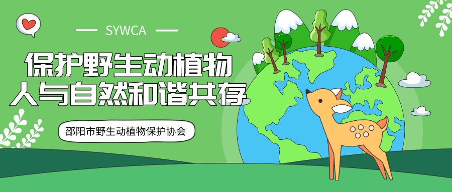 最新野生動物保護(hù)條例，重塑人與自然的和諧共生